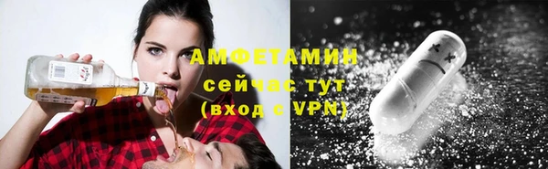 прущие грибы Баксан