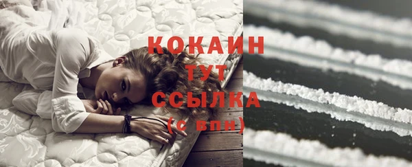 прущие грибы Баксан