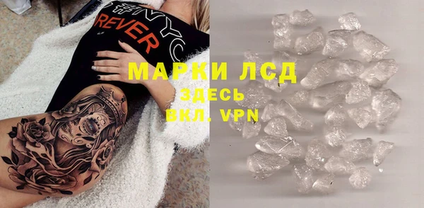 прущие грибы Баксан
