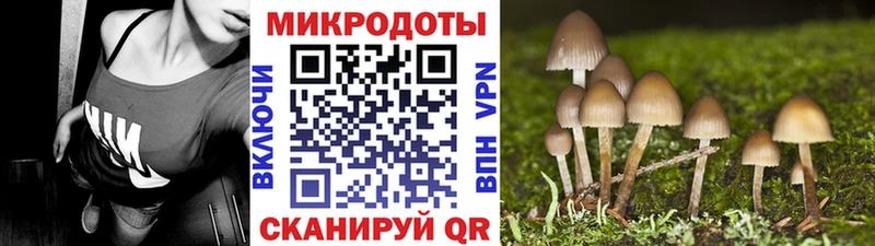 ссылка на мегу ONION  Котовск  Псилоцибиновые грибы GOLDEN TEACHER 